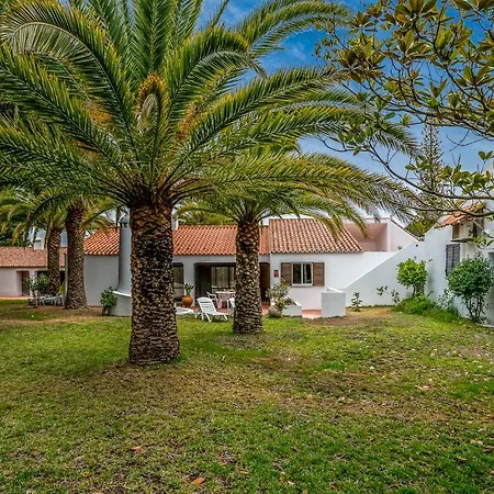 فيلة Bmyguest - Falesia *