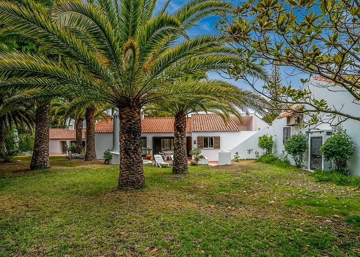 فيلة Bmyguest - Falesia *